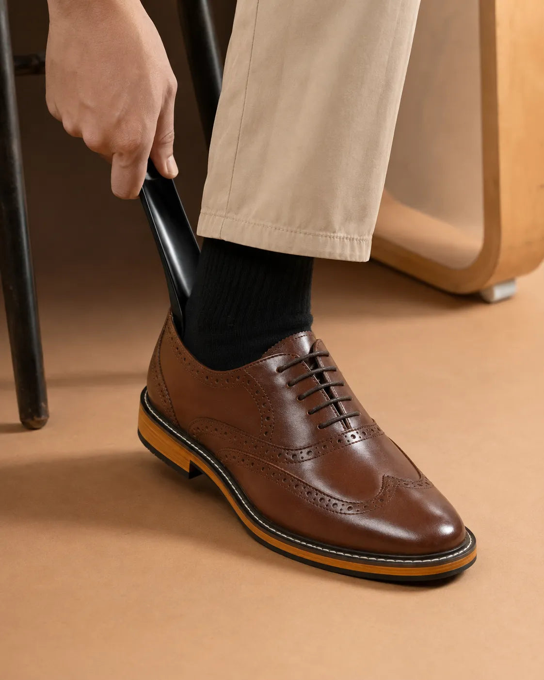 Premium Shoe Horn